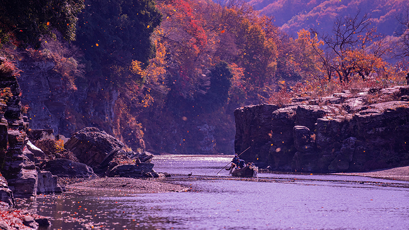 第20回秩父鉄道写真コンテスト（長瀞ラインくだり部門）
