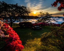 第19回秩父鉄道写真コンテスト