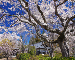 第19回秩父鉄道写真コンテスト