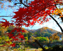 第19回秩父鉄道写真コンテスト