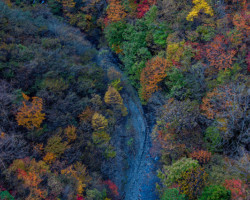 第19回秩父鉄道写真コンテスト