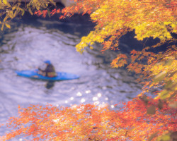 第19回秩父鉄道写真コンテスト