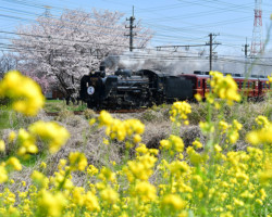 第19回秩父鉄道写真コンテスト