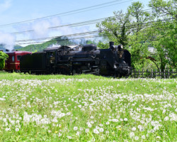 第19回秩父鉄道写真コンテスト