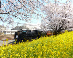 第19回秩父鉄道写真コンテスト