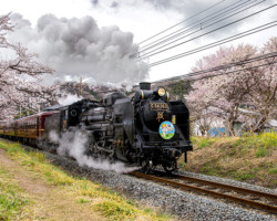 第19回秩父鉄道写真コンテスト