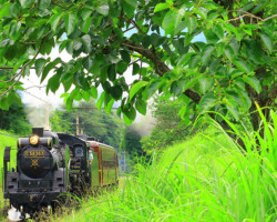 第19回秩父鉄道写真コンテスト