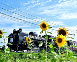 第19回秩父鉄道写真コンテスト