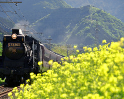 第19回秩父鉄道写真コンテスト