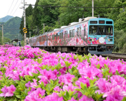 第20回秩父鉄道写真コンテスト「車両部門」入選
