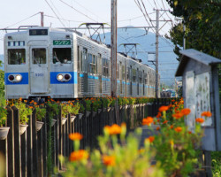 第20回秩父鉄道写真コンテスト「車両部門」入選