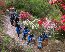 第20回秩父鉄道写真コンテスト（観光部門）