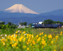第20回秩父鉄道写真コンテスト（観光部門）