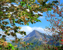 第20回秩父鉄道写真コンテスト（観光部門）