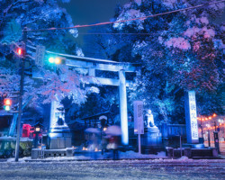 第20回秩父鉄道写真コンテスト（観光部門）