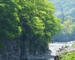 第20回秩父鉄道写真コンテスト（長瀞ラインくだり部門）