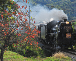 第20回秩父鉄道写真コンテスト（SL部門）