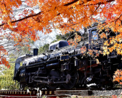 第20回秩父鉄道写真コンテスト（SL部門）