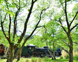 第20回秩父鉄道写真コンテスト（SL部門）