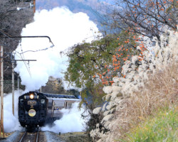 第20回秩父鉄道写真コンテスト（SL部門）
