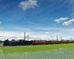 第20回秩父鉄道写真コンテスト（SL部門）