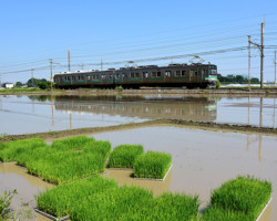 第20回秩父鉄道写真コンテスト（車両部門）