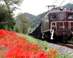 第20回秩父鉄道写真コンテスト（車両部門）