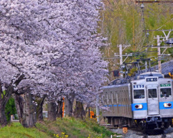 第20回秩父鉄道写真コンテスト（車両部門）
