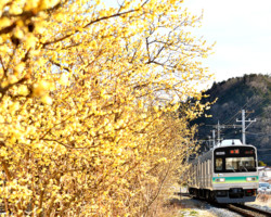 第20回秩父鉄道写真コンテスト（車両部門）